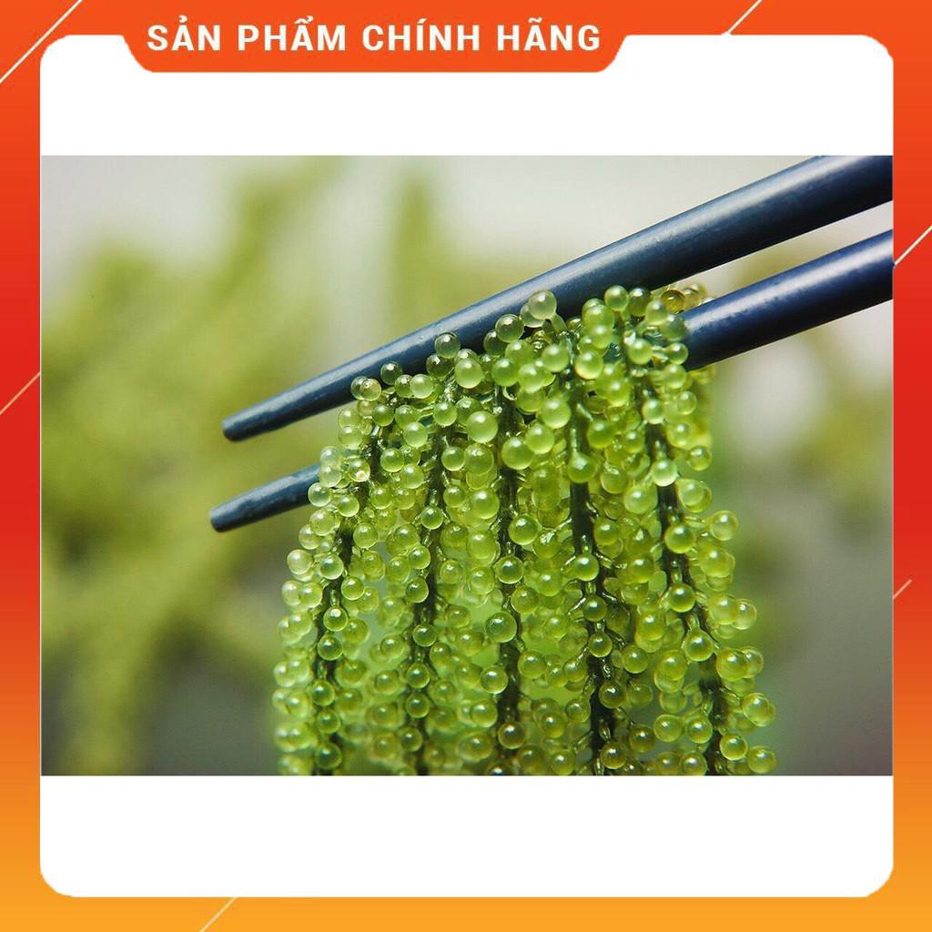 Rong Nho Trường Thọ Cao Cấp - Combo 8 Hộp 16 Gói x 20G - Thần Dược Đại Dương | BigBuy360 - bigbuy360.vn