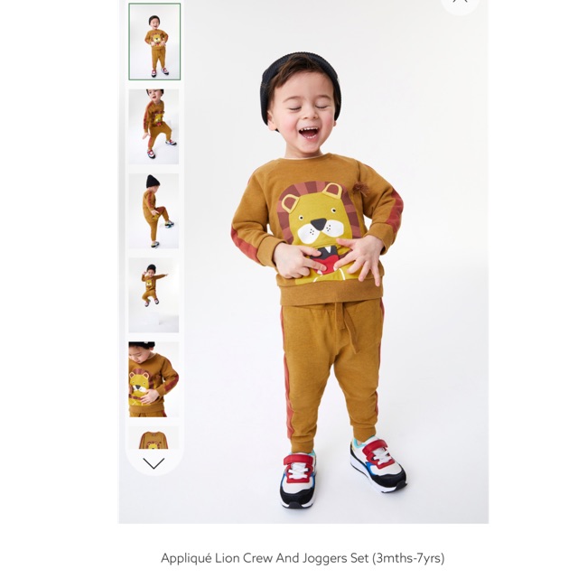 Bộ nỉ Next sư tử vàng nâu 10-21kg (có clip, ảnh thật)