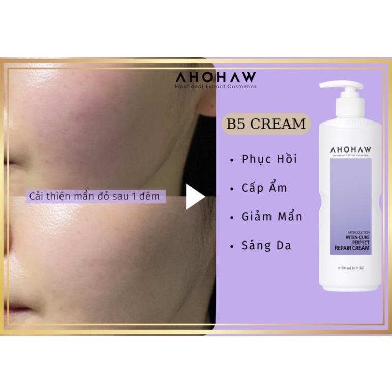 Kem Dưỡng Siêu Phục Hồi Ahohaw After Solution B5