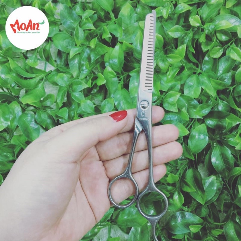 Bộ chăm sóc lông Grooming kéo lược kềm cho chó mèo