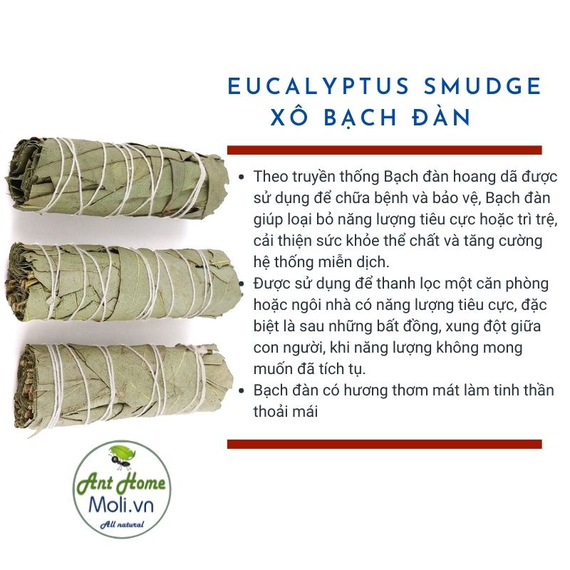 Bó xô Bảo Vệ - Bạch đàn Song An Eco (Eucalyptus smudge)