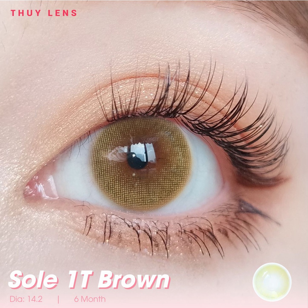 Lens Mắt Cận Màu Nâu Tây Nổi Bật Sole 1T Brown Zlens Tiêu Chuẩn Nhật Bản 0-8 Độ