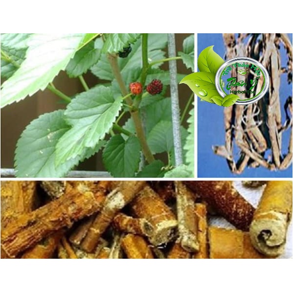 Tang Bạch Bì khô sạch