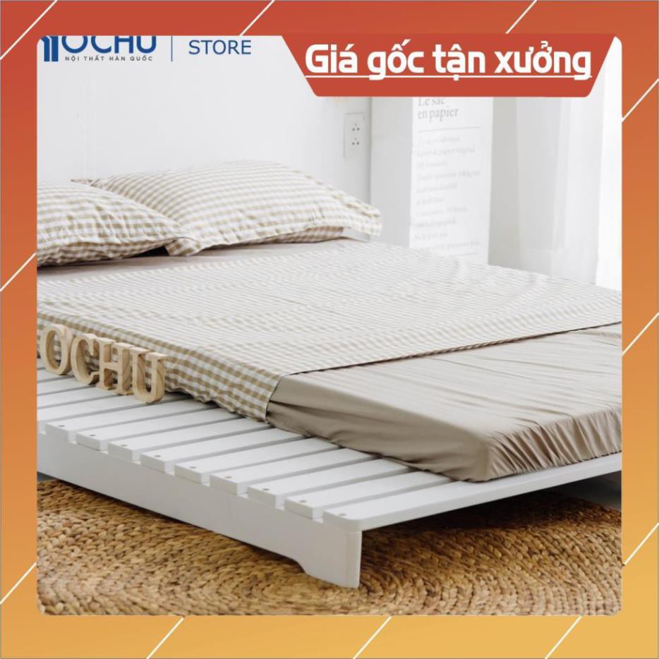 (Giá Xưởng) Giường Ngủ Pallet Gỗ Thông