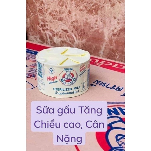 Sữa gấu Thái Lan