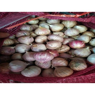 Tỏi Cô Đơn