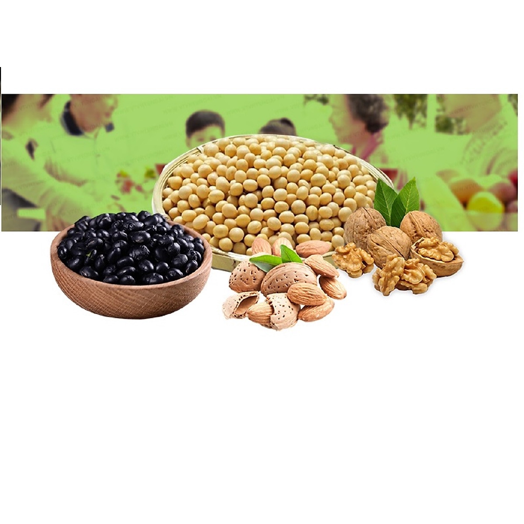 YONSEI - 24 hộp sữa đậu nành hạnh nhân óc chó Hàn Quốc