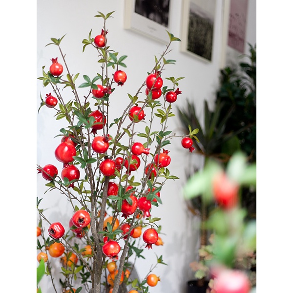 Cây lựu màu đỏ trang trí nhà cửa / Jassi Decor