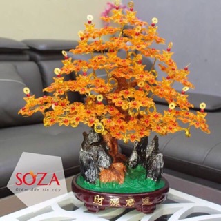 Combo hoa tai loc