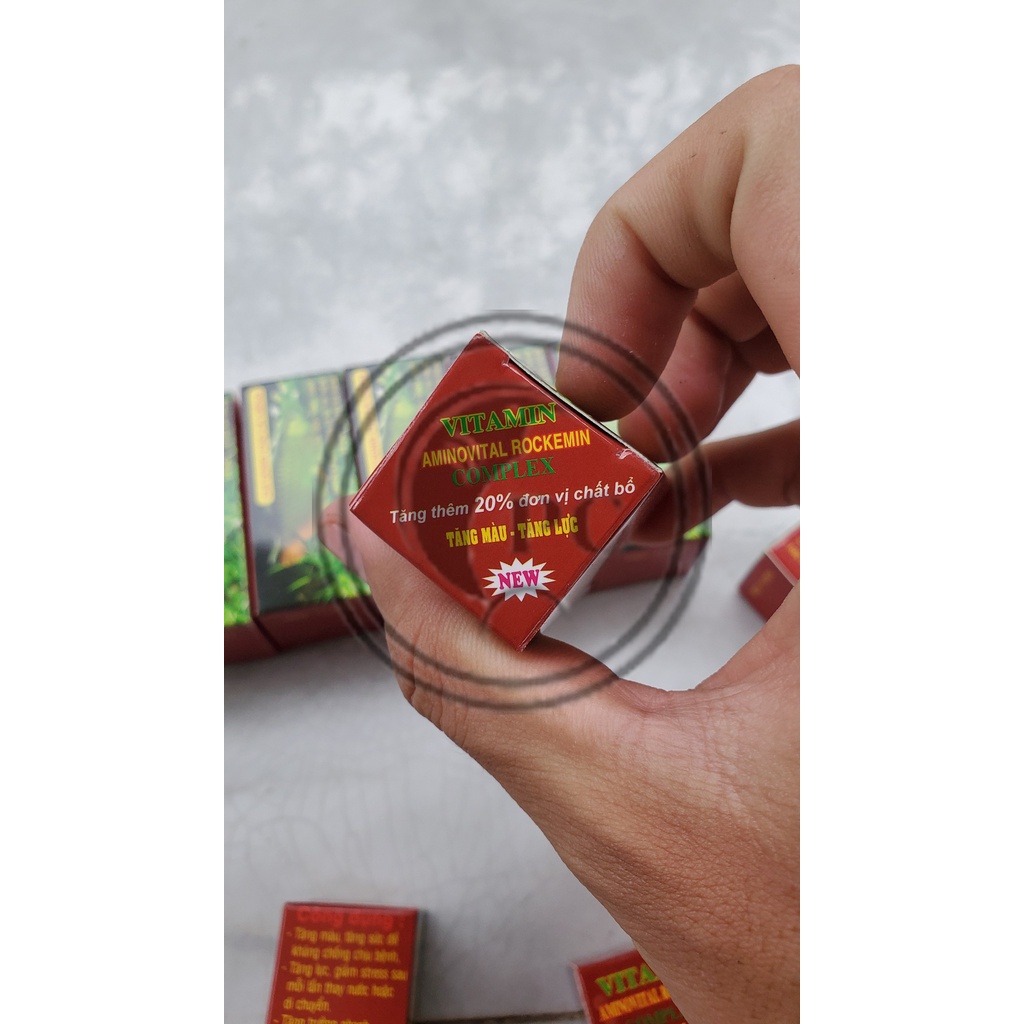 Vitamin cho cá rồng