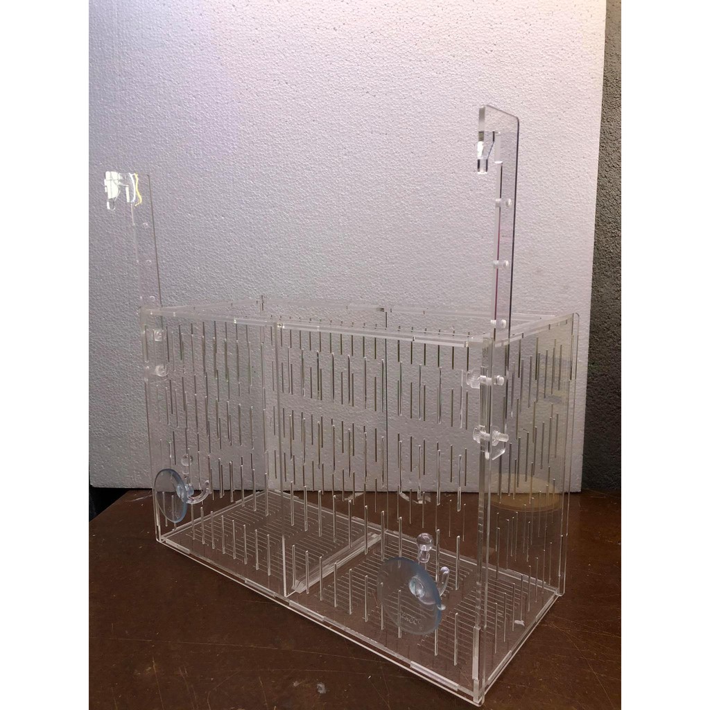 Box/ lồng dưỡng tách cá mica cao cấp (40x15x15)