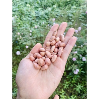 Đậu phộng bóc tay vùng Tây Nguyên 500gr
