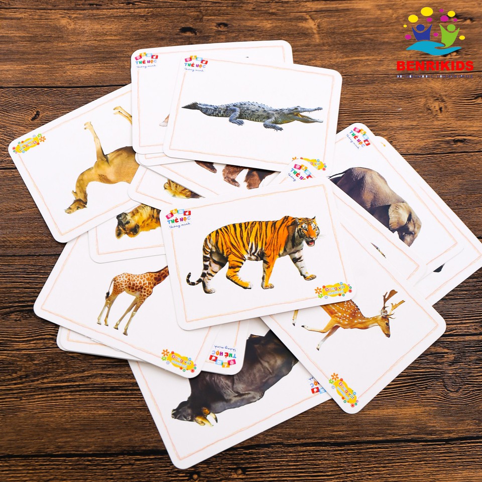 Bộ 5 Thẻ Học Flashcard Bẻnikids Tặng Kèm Bộ Thẻ Học Chữ Và Số (Chủ Đề Ngẫu Nhiên)