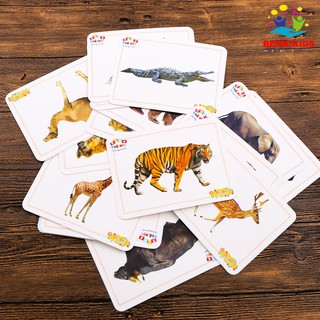 Flashcard Glenn Doman - Động Vật Nuôi