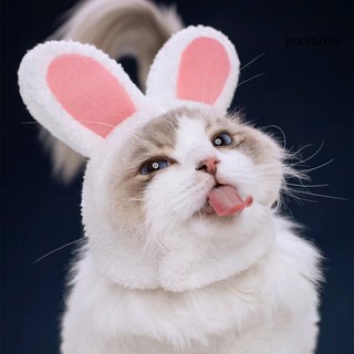 11 Băng Đô Tai Thỏ Đáng Yêu Cho Thú Cưng