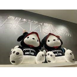 [FuRyu] Gấu bông Sanrio Pochacco x HKT48 Collaboration Large Plush chính hãng Nhật Bản