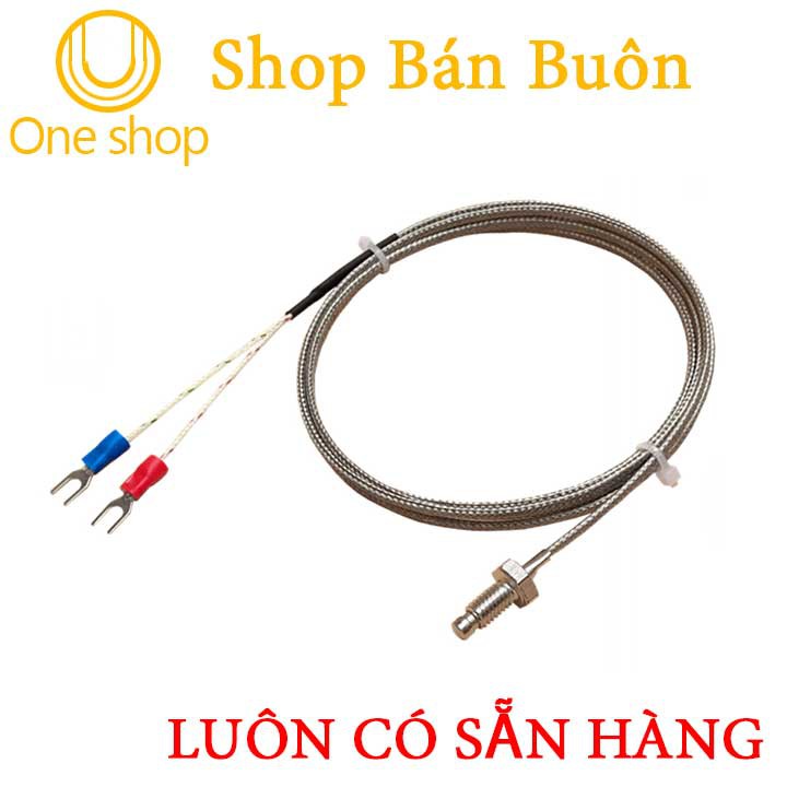 Đầu Dò Nhiệt Độ WRX-31 M6 1m