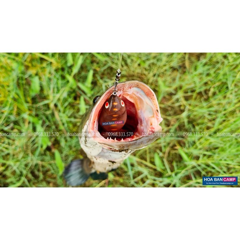 Mồi Lure Nhái Hơi TNQ – T1 8g  & T3 13g