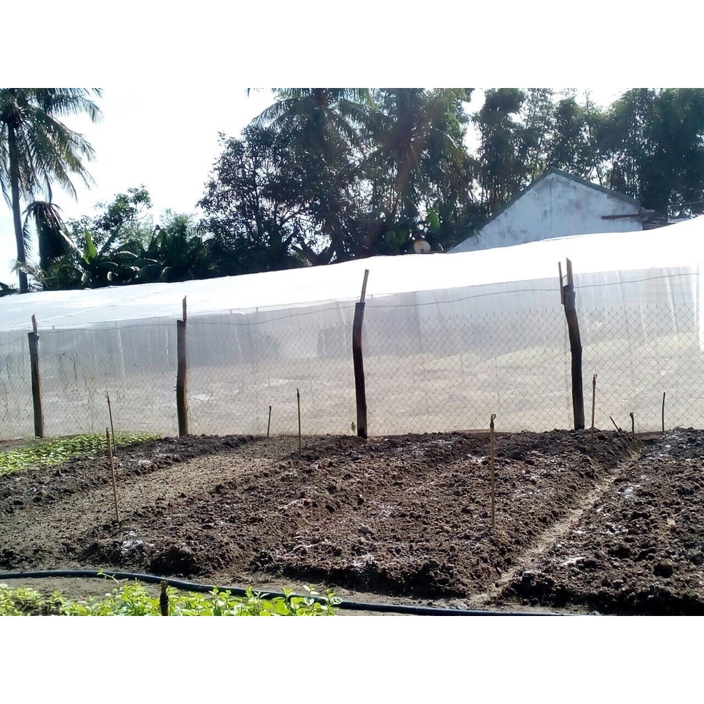 5m x 1,5m Lưới Phù Du chắn bụi mịn -  côn trùng, lưới chắn gió cản mưa che rau sạch cao cấp