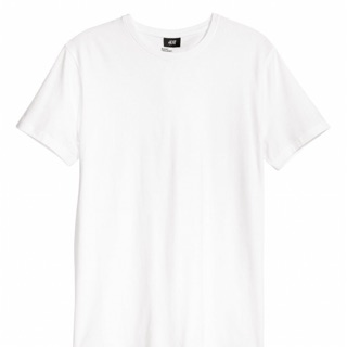 Áo bull trơn màu trắng