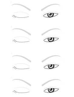giấy face chart