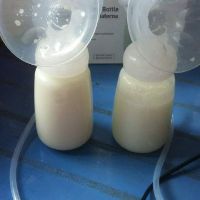 Máy hút sữa real bubee Nhật