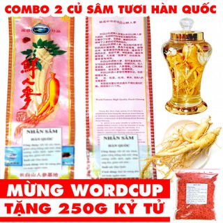Combo 2 củ sâm tươi Hàn Quốc(loại tốt, ảnh thật) - Tặng 500g táo tàu