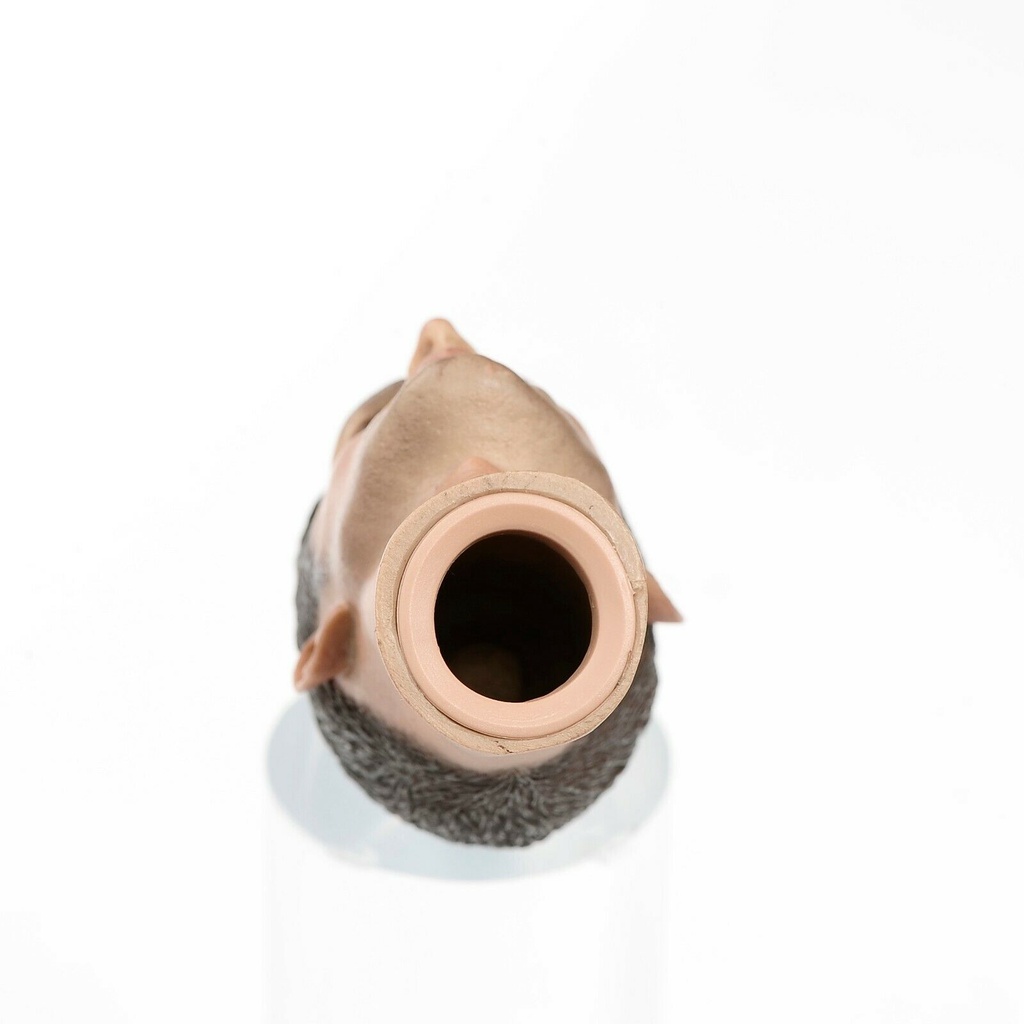 Mô hình đầu nhân vật Chris Evans tỉ lệ 1/6 12"