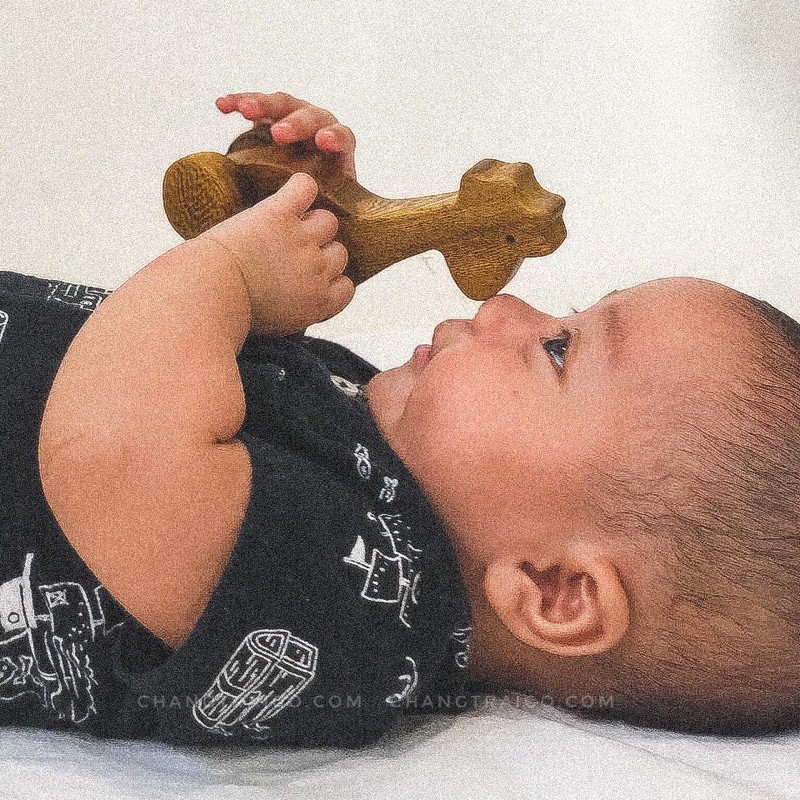 Thú Hươu Cao Cổ Mini Đồ Chơi Gỗ Chàng Trai Gỗ