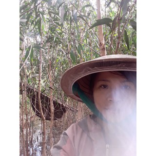 Mật ong rừng U Minh Hạ
