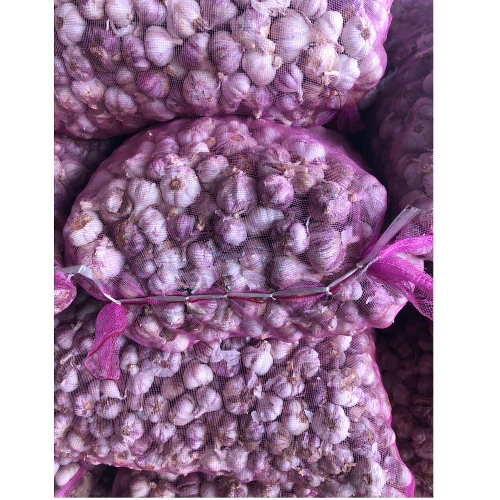 Tỏi tía ta 2kg loại 1, tỏi tía bắc, Kinh Môn Hải Dương