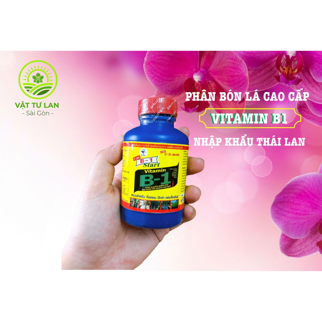 Phân bón lá Vitamin B1 Thái Lan (100ml)