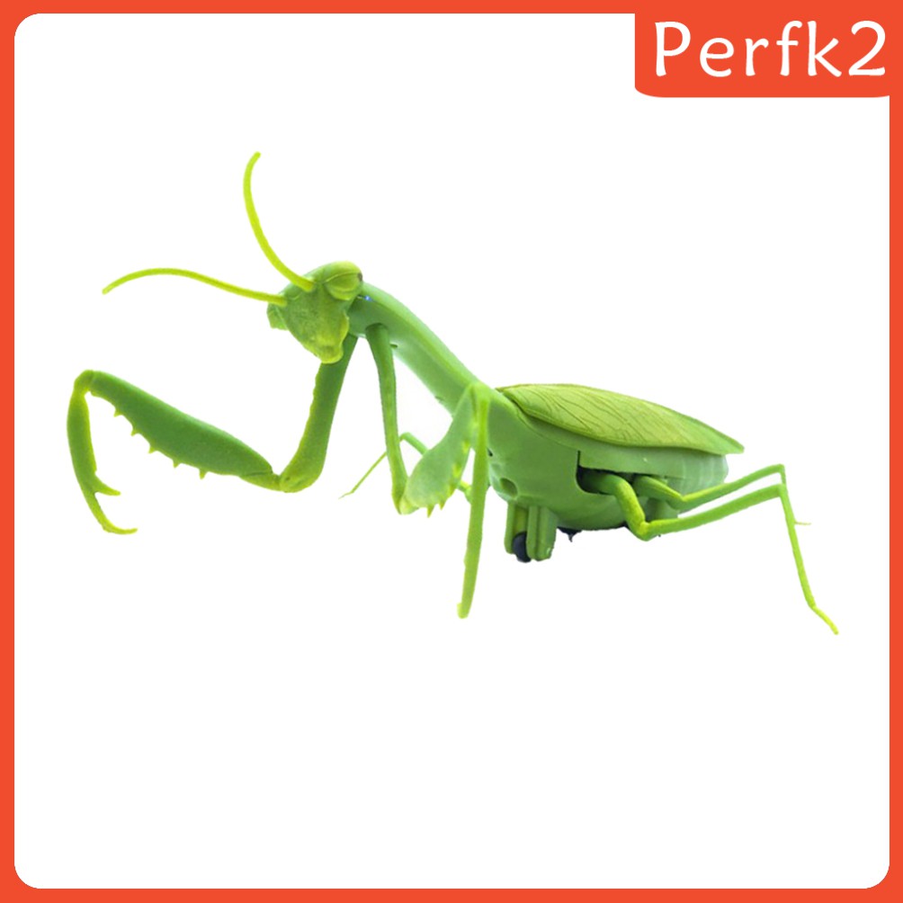 (Hàng Mới Về) Set 2 Mô Hình Côn Trùng Bằng Nhựa Giáo Dục Bé