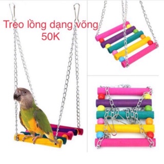 Xích đu cho vẹt