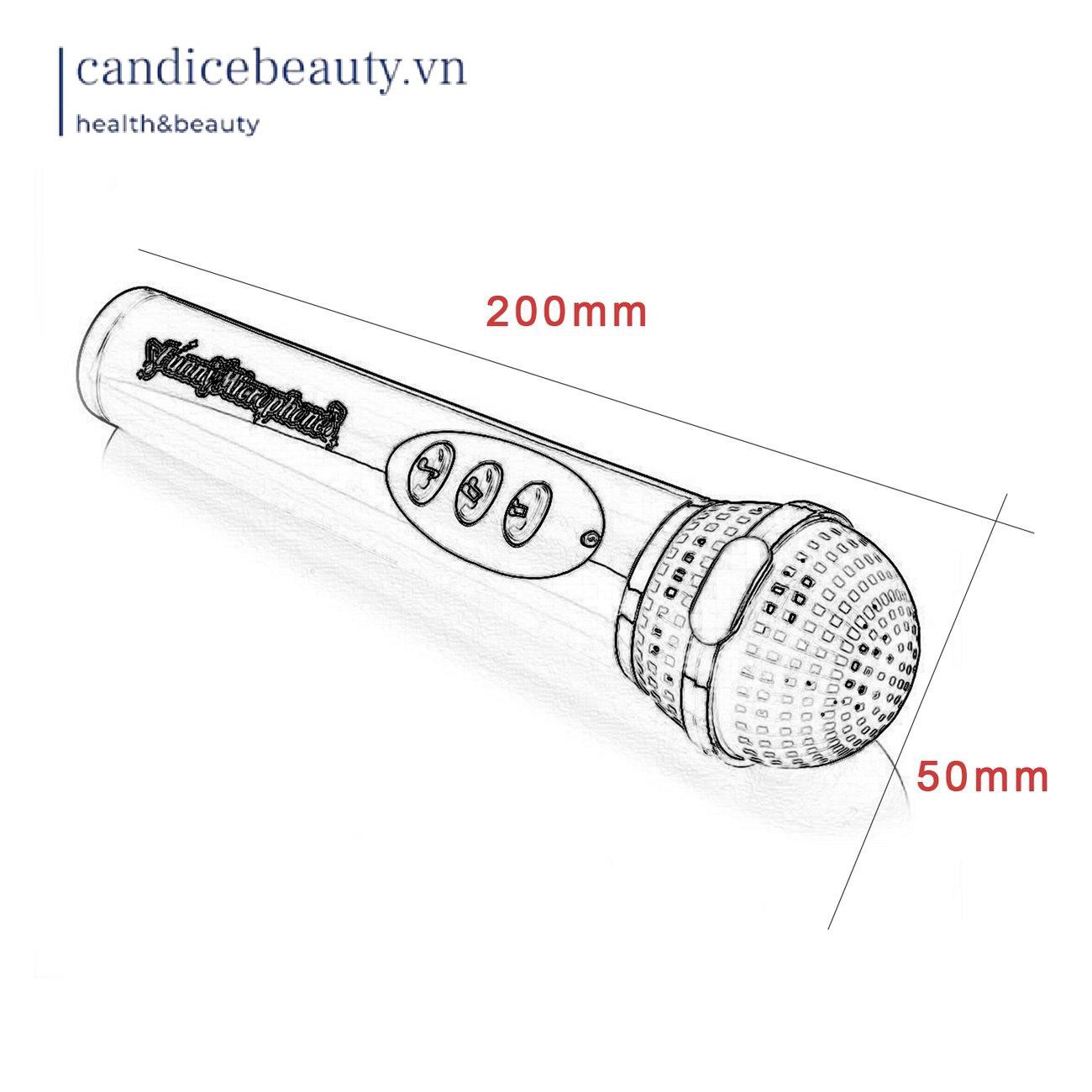 Micro Karaoke Đồ Chơi Vui Nhộn Dành Cho Bé | BigBuy360 - bigbuy360.vn