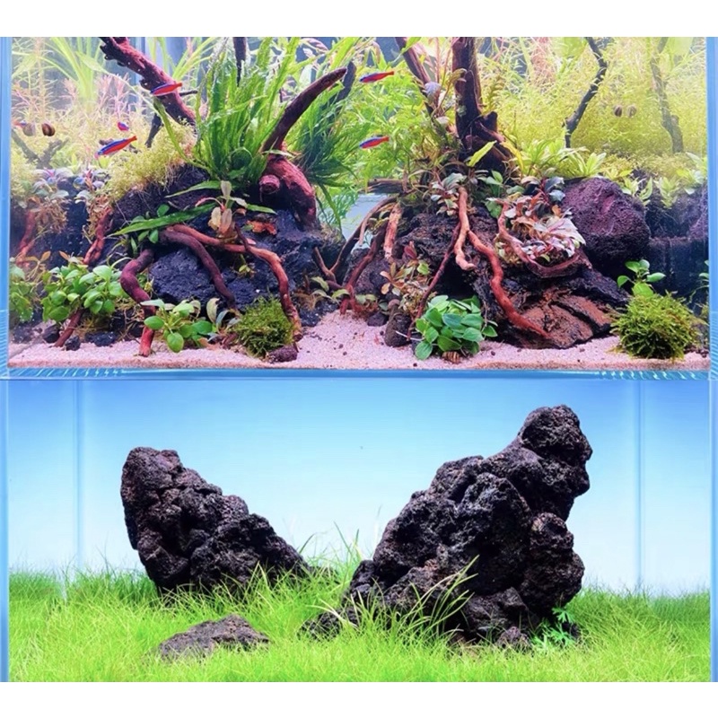 [5KG] Đá Đen Gia Lai SIZE ĐẠI | Đá Trang Trí Bố Cục Hồ Thuỷ Sinh