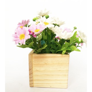 Chậu gỗ vuông gỗ thông, chậu trồng sen đá, Hộp gỗ vuông KT 10x10x10cm