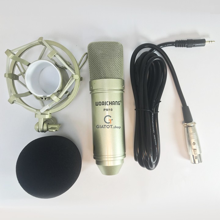 Micro thu âm Studio Woaichang cao cấp PM10