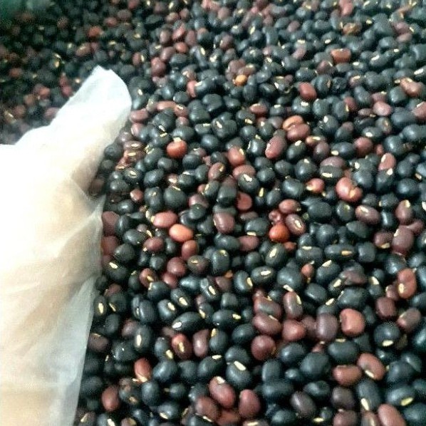1kg Đô đen xanh lòng, đỗ đỏ rang sẵn( đỗ quê xịn)