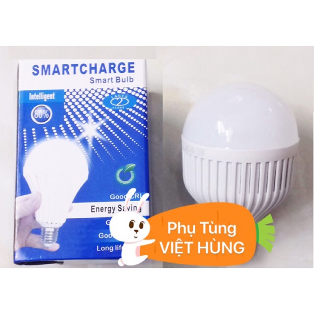 Đèn LED TÍCH ĐIỆN thông minh ( loại lớn 15w cao cấp )