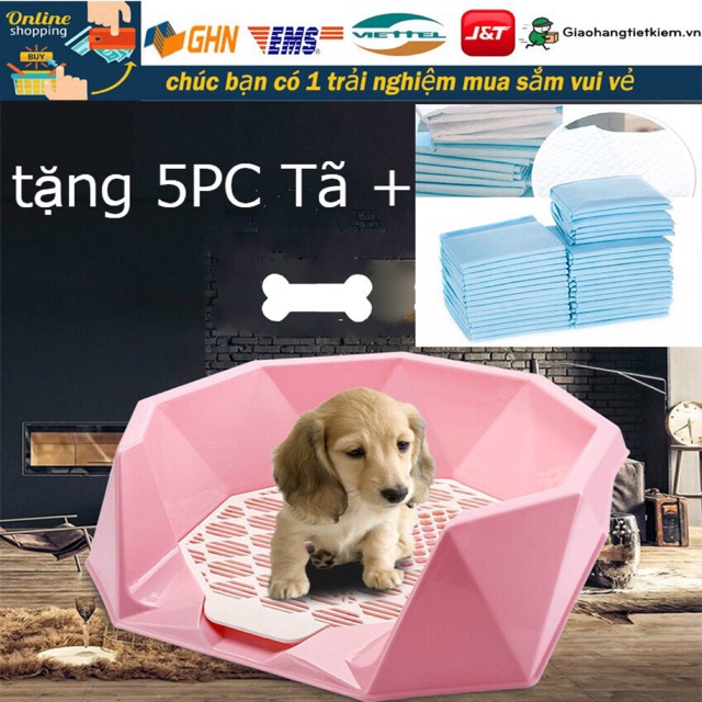 Khay vệ sinh chó mèo