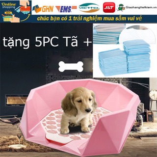 Khay vệ sinh chó mèo