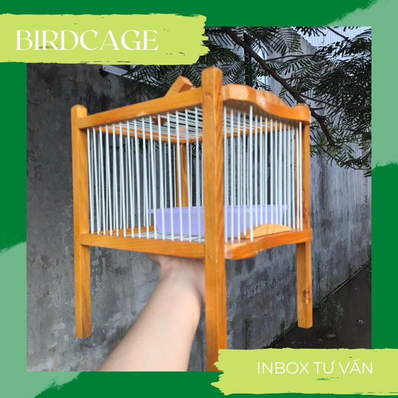 LỒNG TẮM KHUYÊN NAN CÁP QUANG  khuyên loại nhỏ nha khách