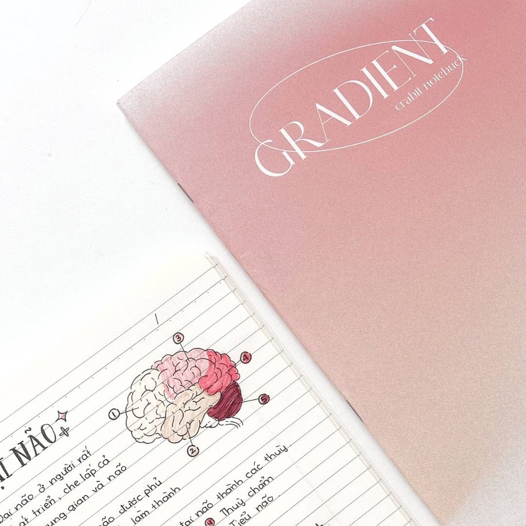 Tập Vở kẻ ngang Crabit 80 trang Gradient Hồng ghi chép sáng tạo