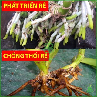 Phân Bón Lá Sinh Học Humic 1Lít