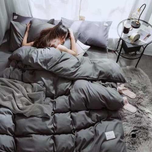 🍃 Bộ sưu tập Chăn Ga Gối 4 [CÓ CHĂN LÓT BÔNG THÔNG MINH] Cotton Basic đơn giản 🍃 | BigBuy360 - bigbuy360.vn