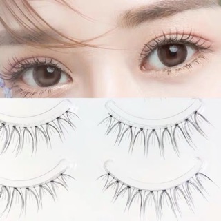 Mi giả lông chồn 3d cao cấp một hộp 5 cặp