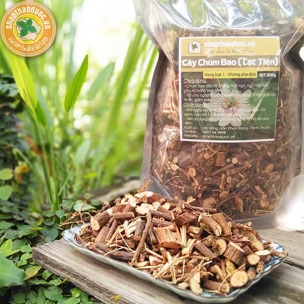 Cây Lạc Tiên (Chùm Bao - Nhãn Lồng) Thân Già 500G - Gốc cây lạc tiên - Hỗ Trợ Cho Giấc Ngủ