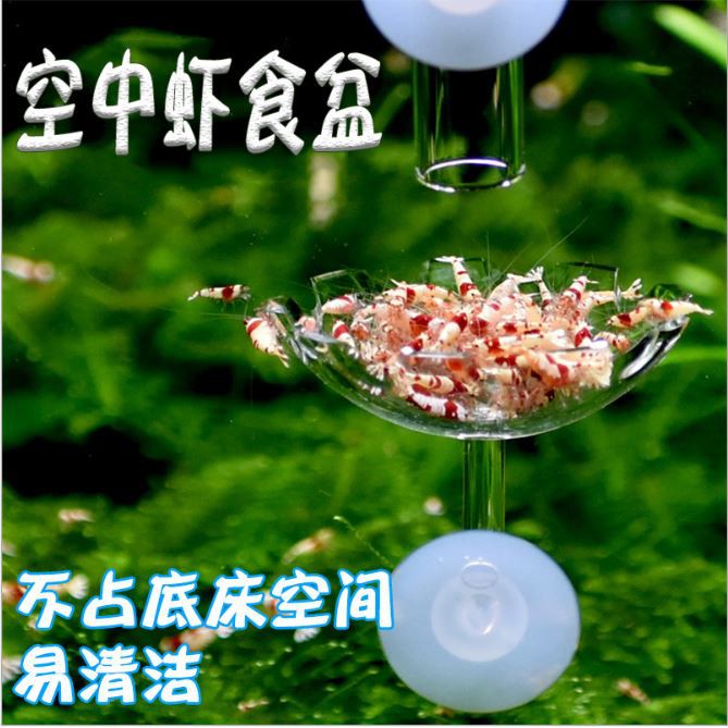 ☘ COMBO Ống Tép Thuỷ Tinh Kèm Chén Tép HOA SEN ☘ Bộ Chén Ống Tép ☘ Phụ Kiện Cho Tép Ăn