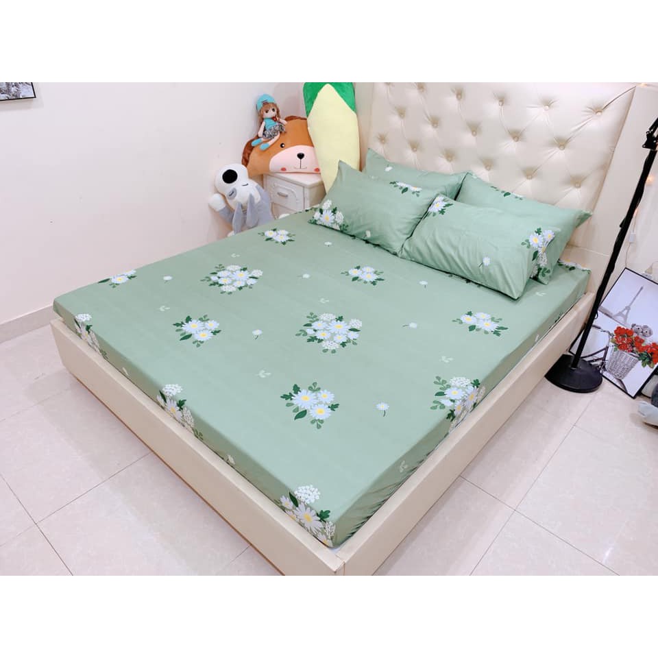 Ga chun poly và 2 vỏ gối nằm 2m x 2m2